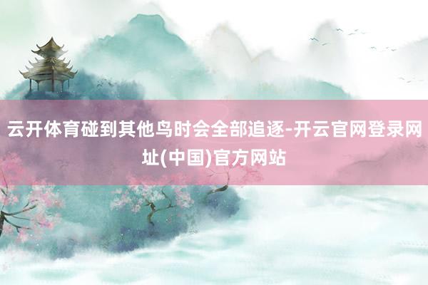 云开体育碰到其他鸟时会全部追逐-开云官网登录网址(中国)官方网站